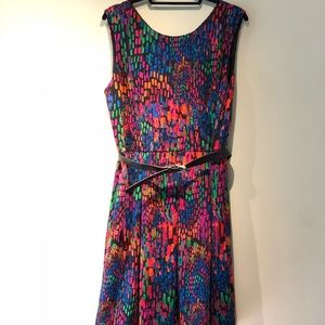 Ellen Tracey Colorful Paintbrush Stroked Dress